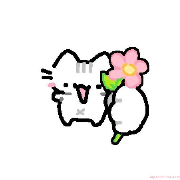 meme tặng hoa nhưng lầy