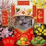 meme tết ăn bánh chưng