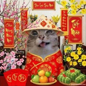 meme tết ăn bánh chưng
