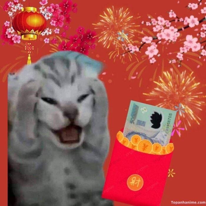 meme tết đi chơi xuân