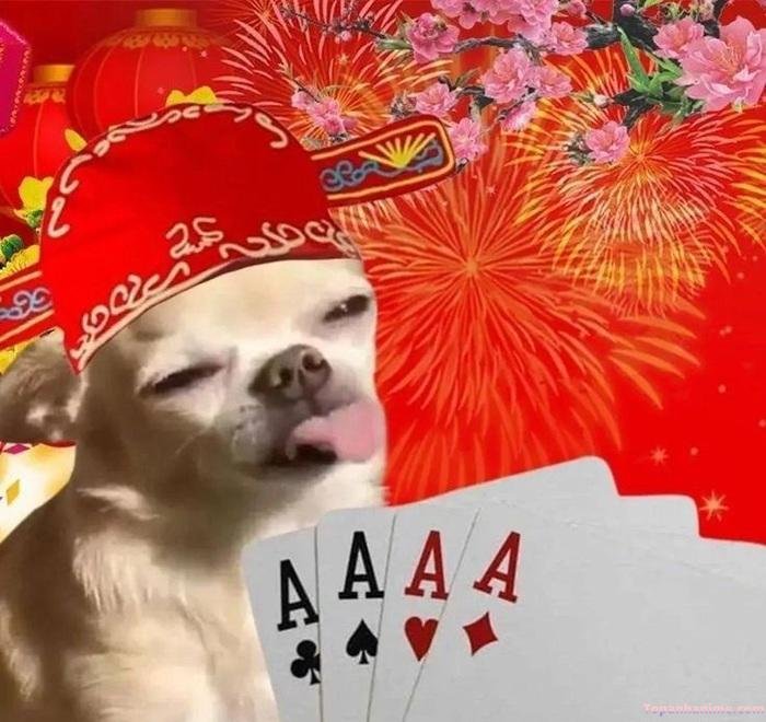 meme tết hài hước