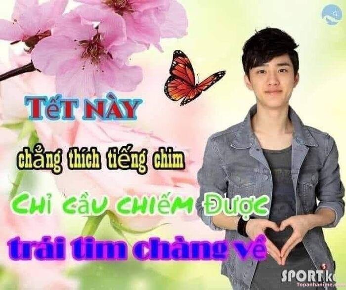 meme tết kiểu hỏi thăm