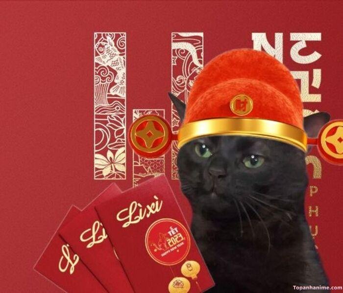 meme tết mèo đen