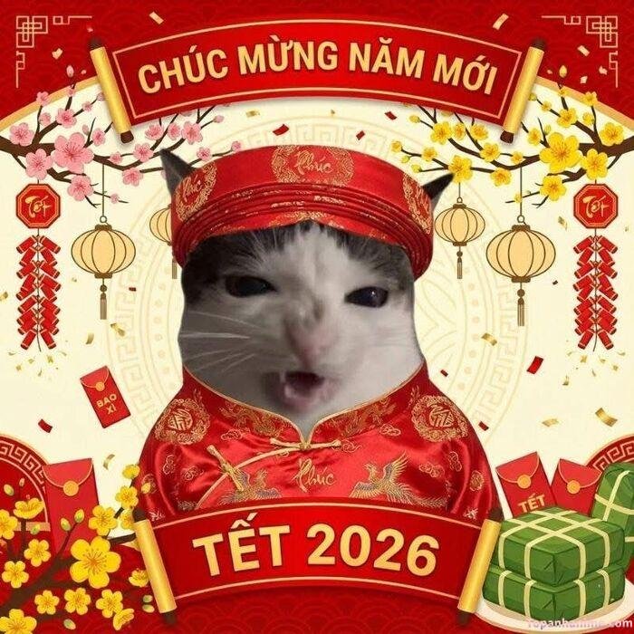 meme tết nhìn buồn cười