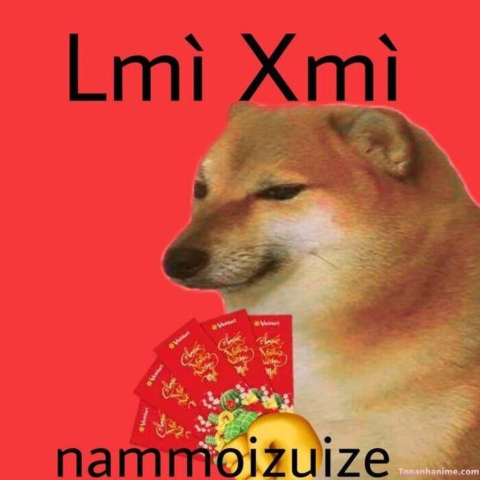 meme tết nhìn hài hước