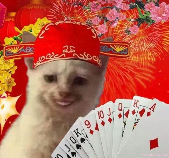 meme tết nhưng áp lực bài cờ