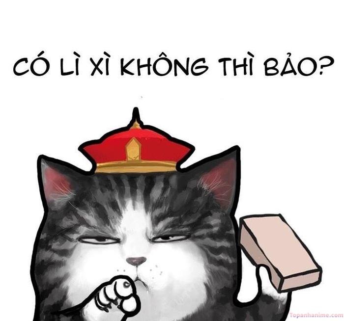 meme tết nhưng áp lực con mèo