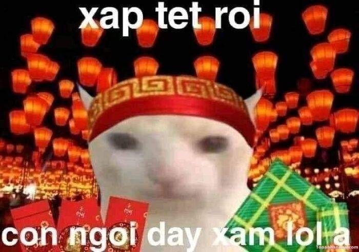 meme tết nhưng áp lực