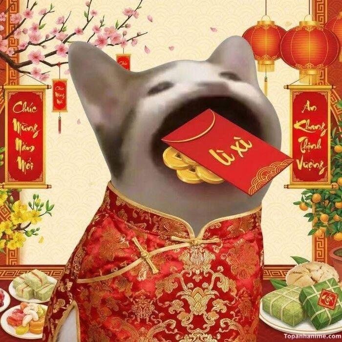 meme tết vibe đoàn viên