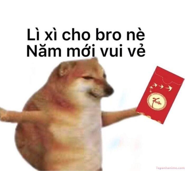 meme tết vibe internet shiba