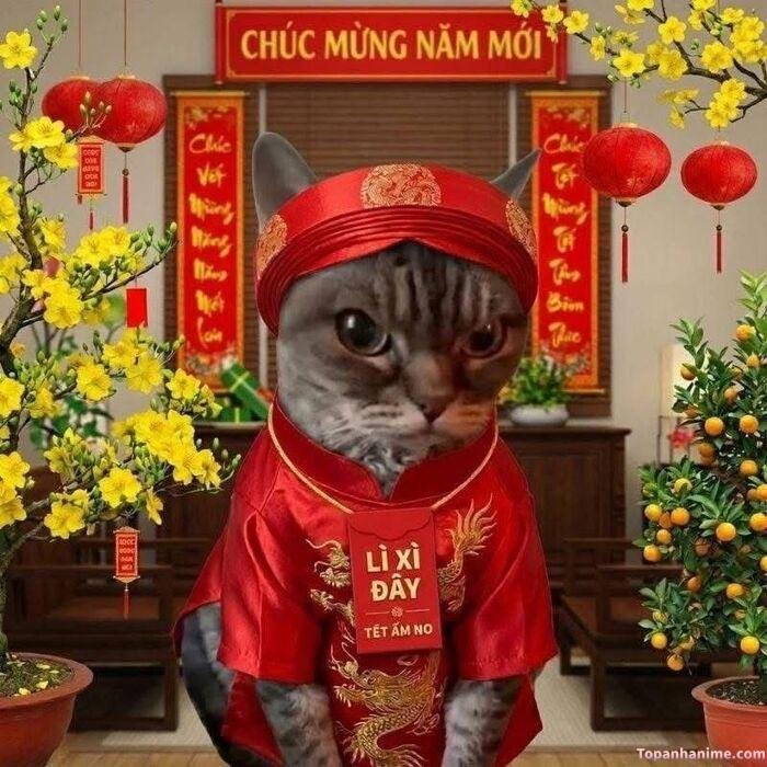meme tết vibe vui nhộn