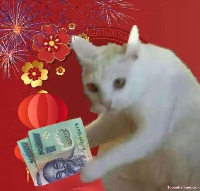meme tết