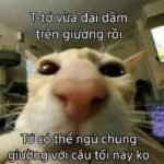 meme thả thính bựa hài