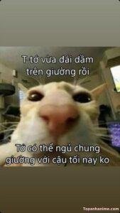 meme thả thính bựa hài