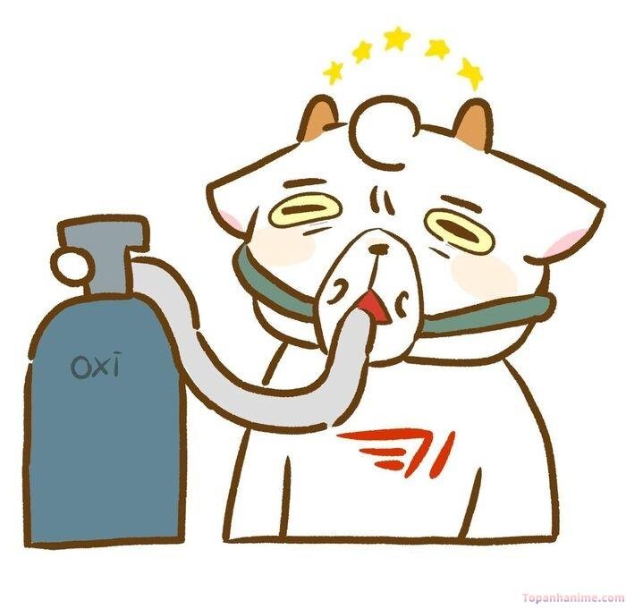 thở oxy meme nhìn cui