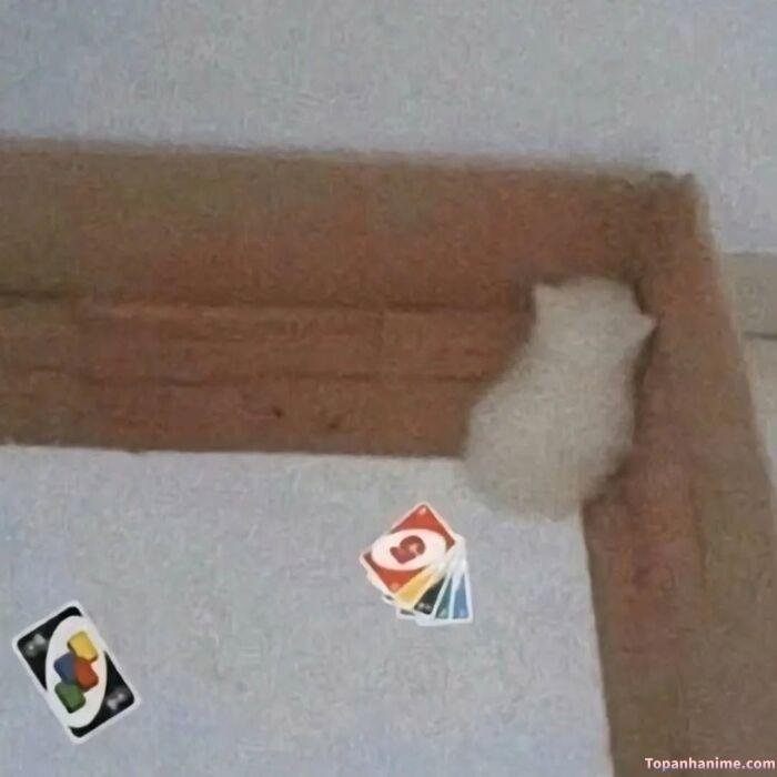 uno meme tủi thân