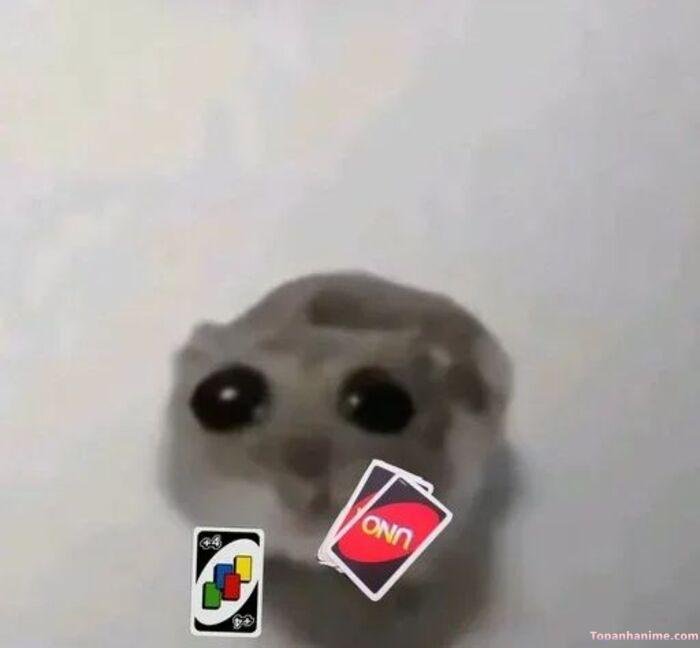 uno meme xinh