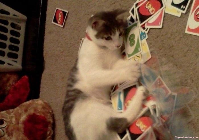 uno meme