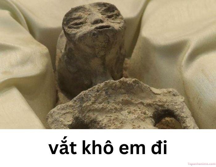 vắt cực khô meme bị khai thác triệt để