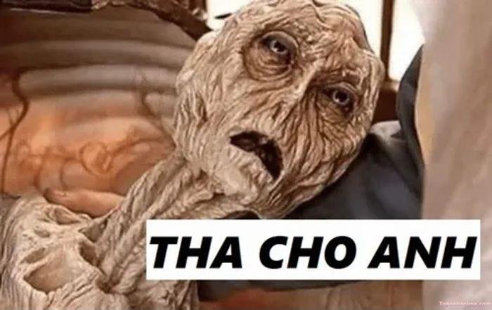 vắt cực khô meme không còn gì để mất