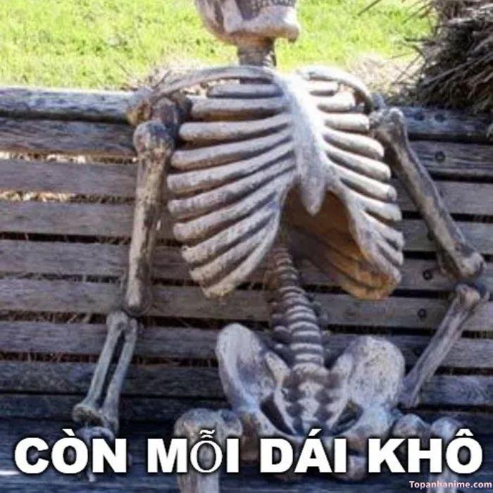 vắt cực khô meme xương