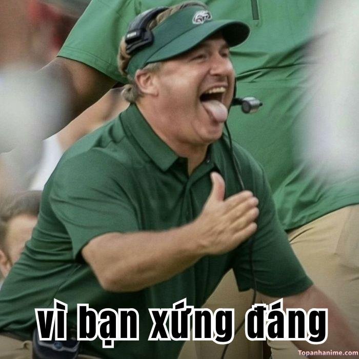 vì bạn xứng đáng meme bựa chê