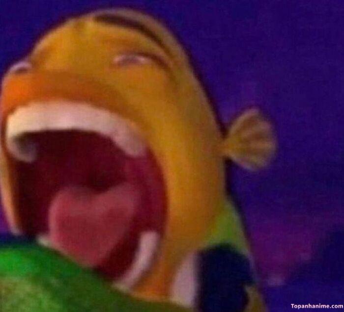 wow meme vibe bất ngờ hài