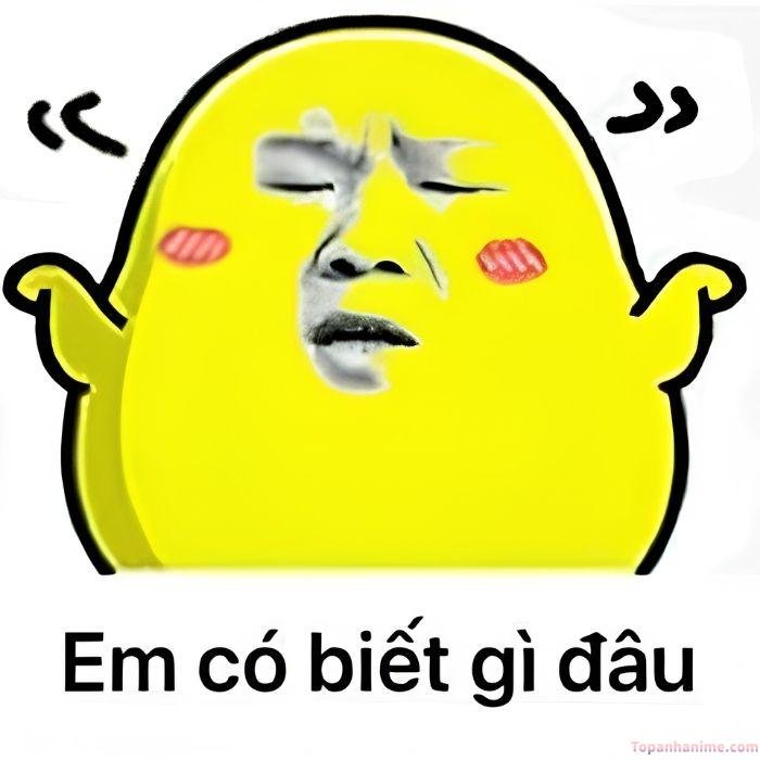 ai biết gì đâu meme bựa nhất