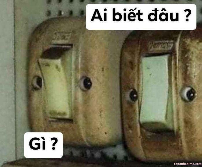 ai biết gì đâu meme bựa