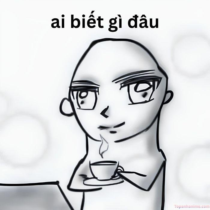 ai biết gì đâu meme chế