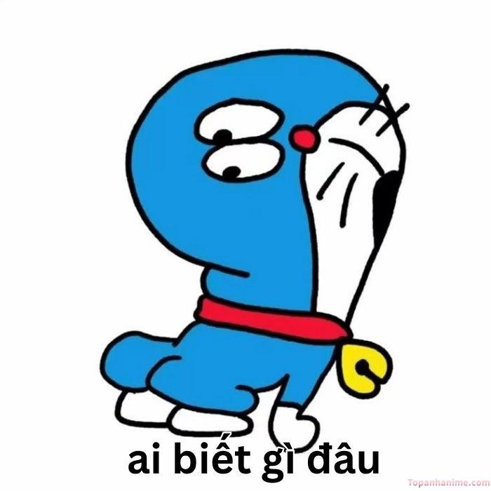 ai biết gì đâu meme doraemon