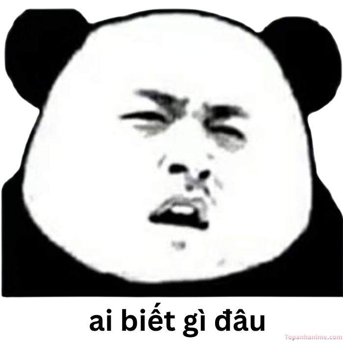 ai biết gì đâu meme gấu trúc