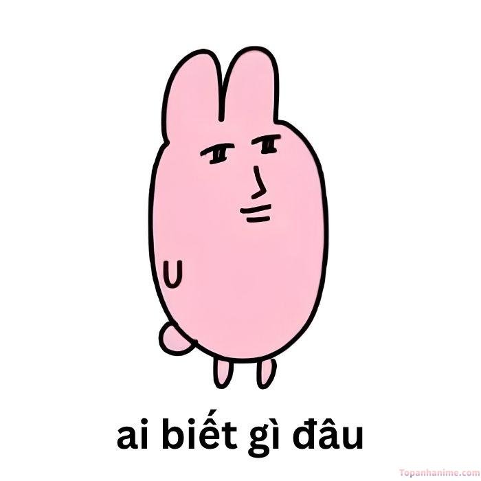 ai biết gì đâu meme hồng nhân vật