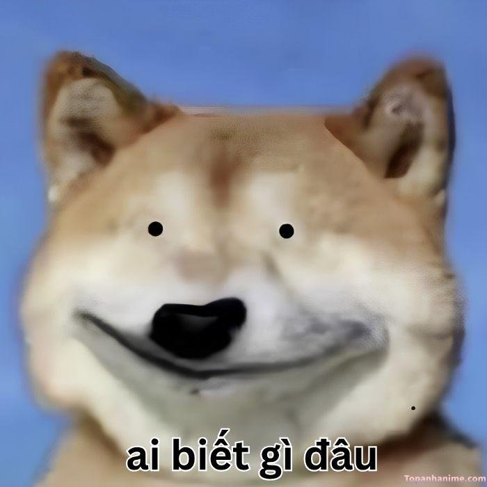 ai biết gì đâu meme shiba