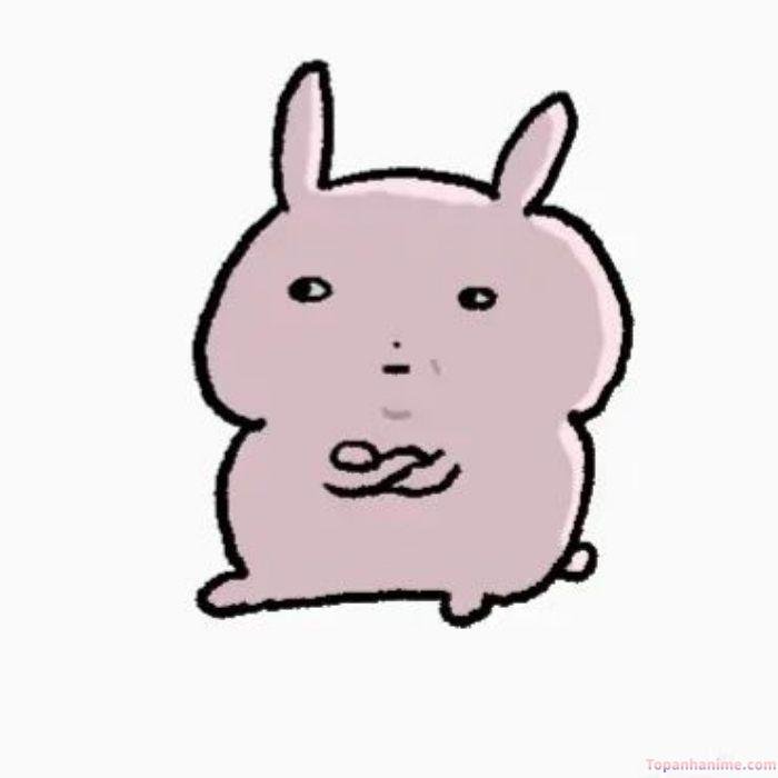 ai biết gì đâu meme thỏ bựa