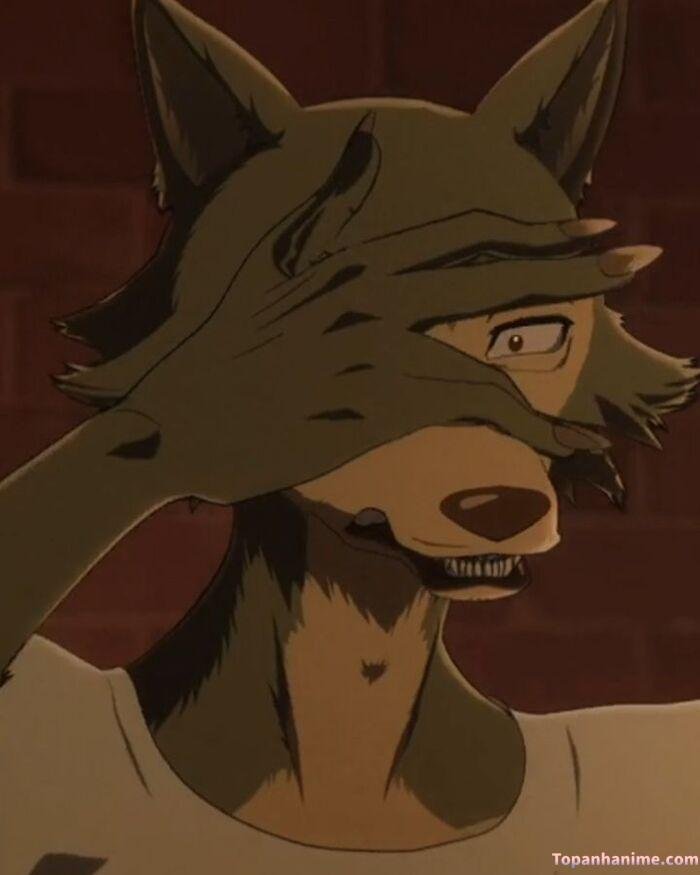 ảnh Legoshi