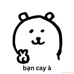 ảnh meme bạn cay à chế hài
