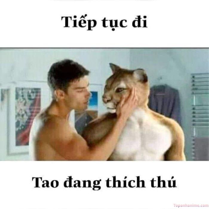 ảnh meme bình tĩnh chế hài