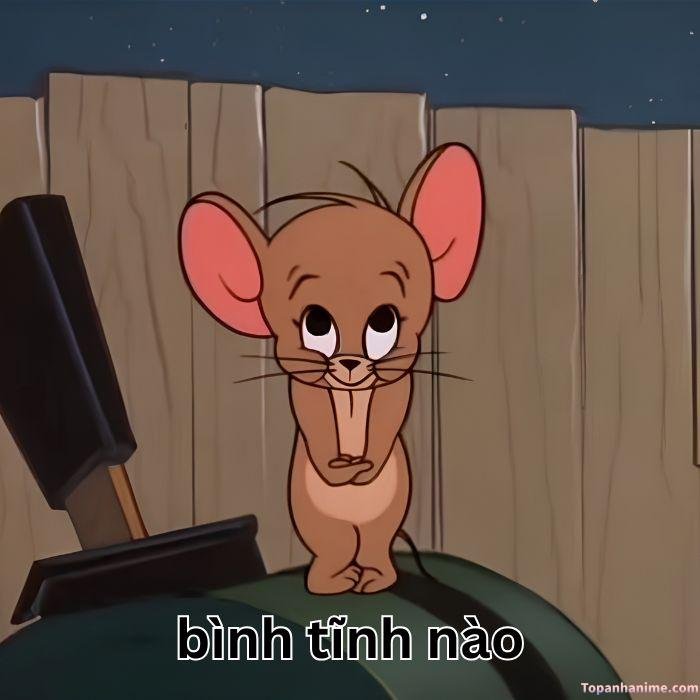 ảnh meme bình tĩnh chuột