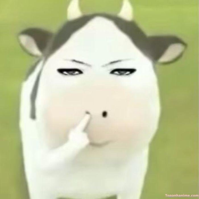 ảnh meme bình tĩnh siêu hot