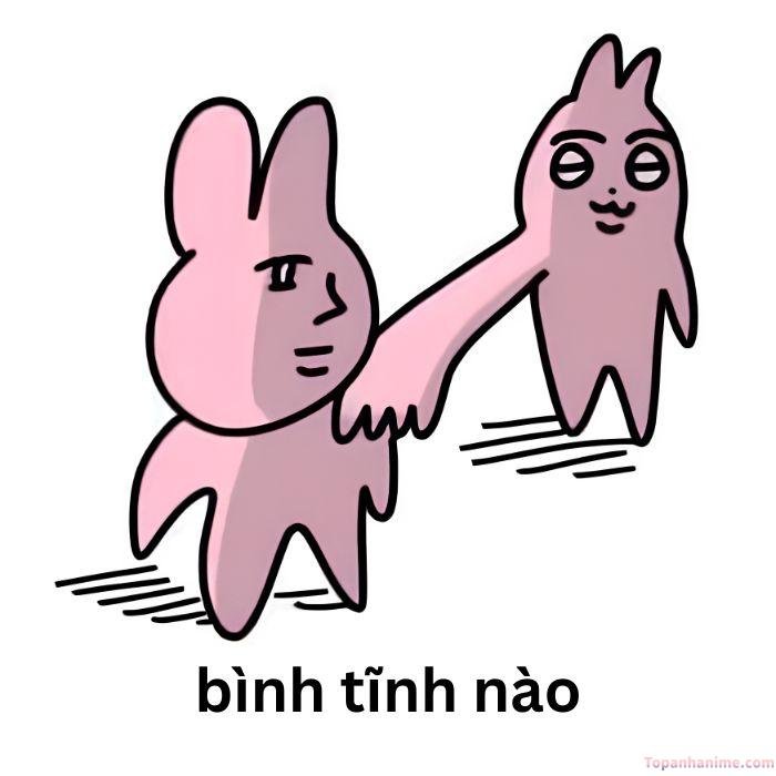 ảnh meme bình tĩnh thỏ hài