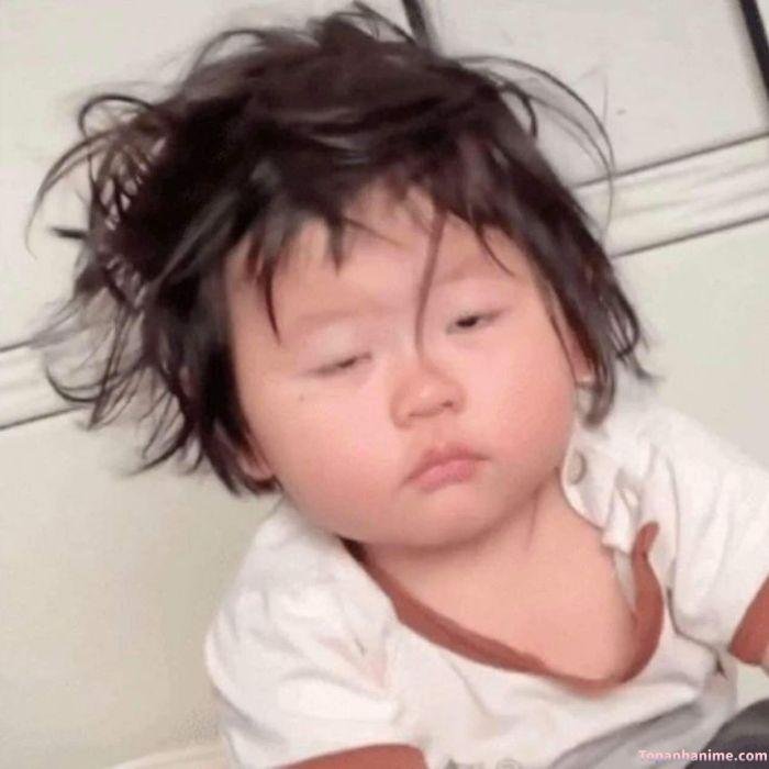 ảnh meme buồn ngủ hot