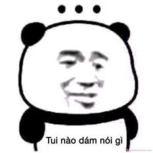 ảnh meme cạn lời gấu trúc