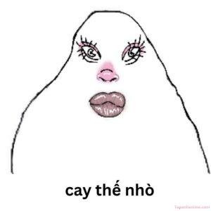 ảnh meme cay cú hài hước