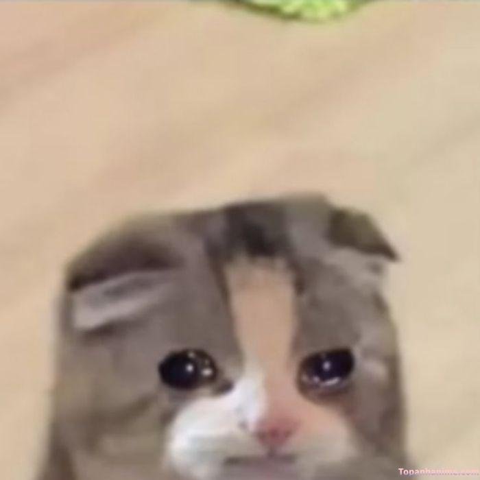 ảnh meme chán mếu
