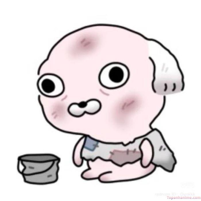 ảnh meme chán
