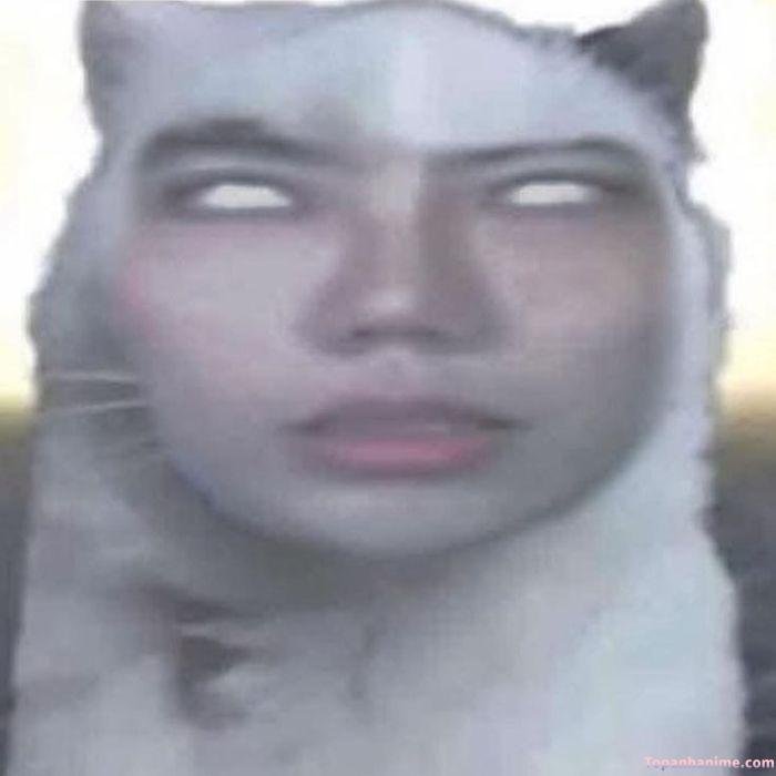 ảnh meme hoang mang huy forum