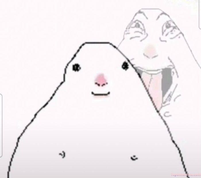 ảnh meme mlem