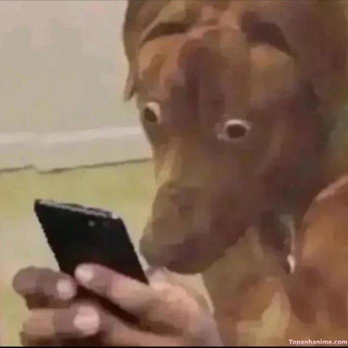 ảnh meme ngạc nhiên chố mắt