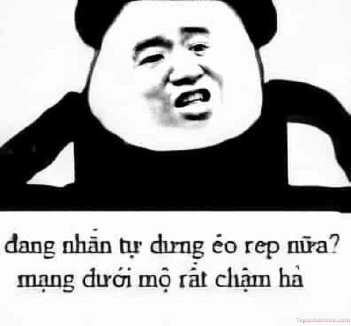 ảnh meme nghi ngờ gấu trúc